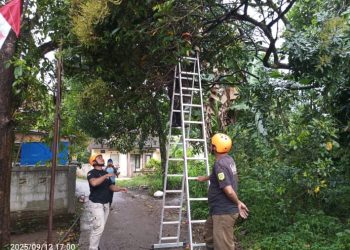 Jumat (12/09/25), Tim Desa Tangguh Bencana (Destana) Desa Gunungsari bergerak cepat mengevakuasi pohon tumbang di wilayah Kampung Tonggoh RT 02 RW 01 yang sempat menghalangi akses jalan serta menimbulkan kekhawatiran warga.