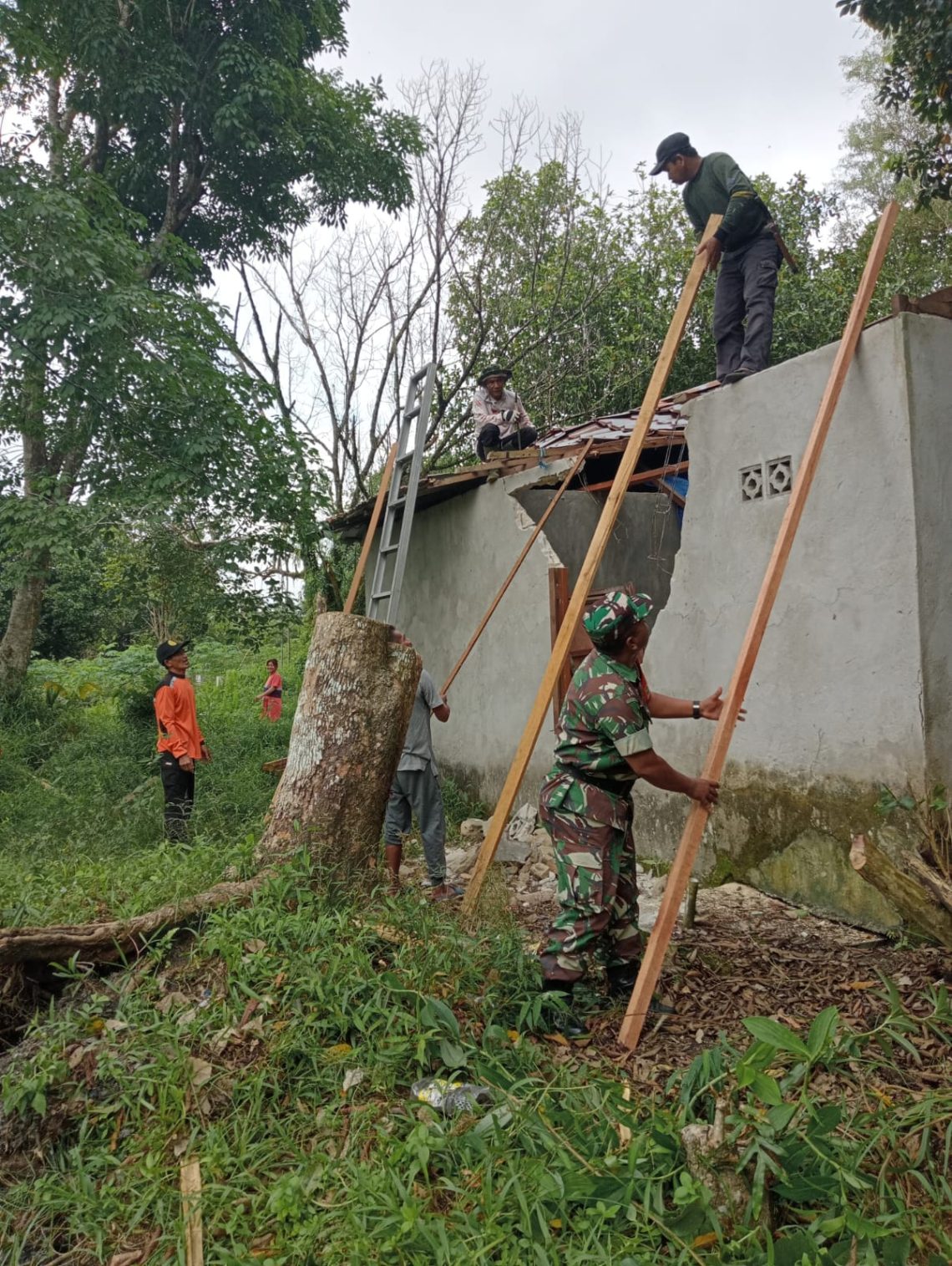 Sertu Eko Cahyono Babinsa Koramil 1016-01/Pahandut Kodim 1016/Palangka Raya pada Senin (15/09/2025) turun langsung gotong royong membantu perbaikan rumah milik ibu Salata yang beralamat di jalan Bangkirai RT 05 RW 02, Kelurahan Kereng Bangkirai, Kecamatan Sabangau kota Palangka Raya yang terkena musibah angin puting beliung beberapa waktu yang lalu.