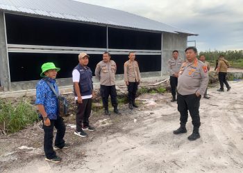 Peninjauan kali ini dilakukan Kapolresta bersama rombongan pada lahan perkebunan jagung yang dikelola oleh Kelompok Tani (Poktan) Elea Farm di wilayah Kelurahan Pager, Kecamatan Rakumpit, Kota Palangka Raya, Kalimantan Tengah, Kamis (18/9/2025) pagi.