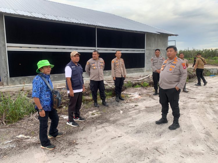 Peninjauan kali ini dilakukan Kapolresta bersama rombongan pada lahan perkebunan jagung yang dikelola oleh Kelompok Tani (Poktan) Elea Farm di wilayah Kelurahan Pager, Kecamatan Rakumpit, Kota Palangka Raya, Kalimantan Tengah, Kamis (18/9/2025) pagi.