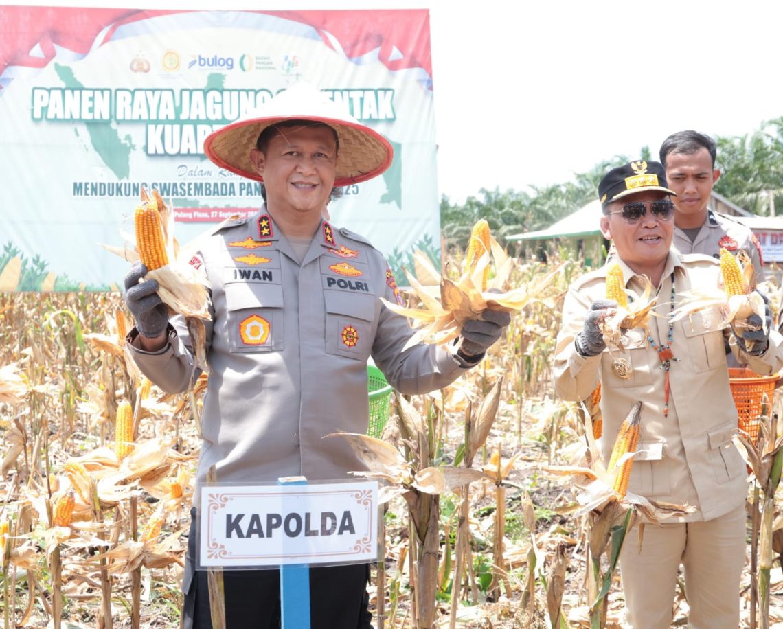 Kapolda Kalimantan Tengah Irjen Pol Iwan Kurniawan bersama Gubernur H. Agustiar Sabran melaksanakan panen raya jagung kuartal III, di Desa Anjir, Kec. Kahayan Hilir, Kab. Pulang Pisau (Pulpis), Sabtu (27/9/2025).