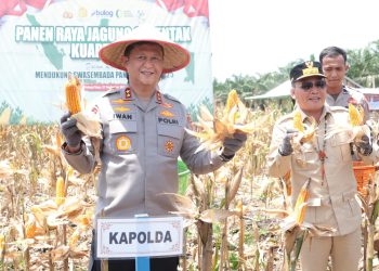 Kapolda Kalimantan Tengah Irjen Pol Iwan Kurniawan bersama Gubernur H. Agustiar Sabran melaksanakan panen raya jagung kuartal III, di Desa Anjir, Kec. Kahayan Hilir, Kab. Pulang Pisau (Pulpis), Sabtu (27/9/2025).