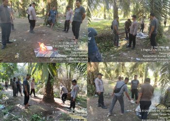 Team Unit Reskrim Polsek Kualuh Hulu di bawah komando Ipda Ramadhan Hilal menggerebek lokasi saran narkoba di areal ladang sawit milik warga di Dusun IX Kampung Limpul Desa Tanjung Pasir, Kualuh Selatan, Kamis (02/10/2025) sekira pukul 15.00 WIB.