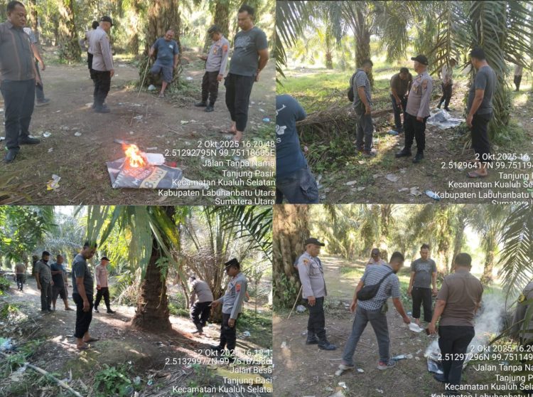 Team Unit Reskrim Polsek Kualuh Hulu di bawah komando Ipda Ramadhan Hilal menggerebek lokasi saran narkoba di areal ladang sawit milik warga di Dusun IX Kampung Limpul Desa Tanjung Pasir, Kualuh Selatan, Kamis (02/10/2025) sekira pukul 15.00 WIB.