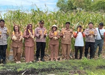 Polsek Sabangau Polresta Palangka Raya turut melaksanakan kegiatan Panen Raya Jagung Serentak Kuartal III di lahan kelompok tani Jaya Abadi Makmur, Jalan Semar RT 01 RW 01, Kelurahan Kalampangan, Kecamatan Sabangau, Senin (6/10/2025).