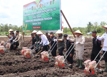 Polresta Palangka Raya melaksanakan kegiatan penanaman jagung serentak Kuartal IV di wilayah Kelompok Tani Elea Farm, Jalan Tumbang Telaken Km. 61, Kecamatan Rakumpit, Kota Palangka Raya.