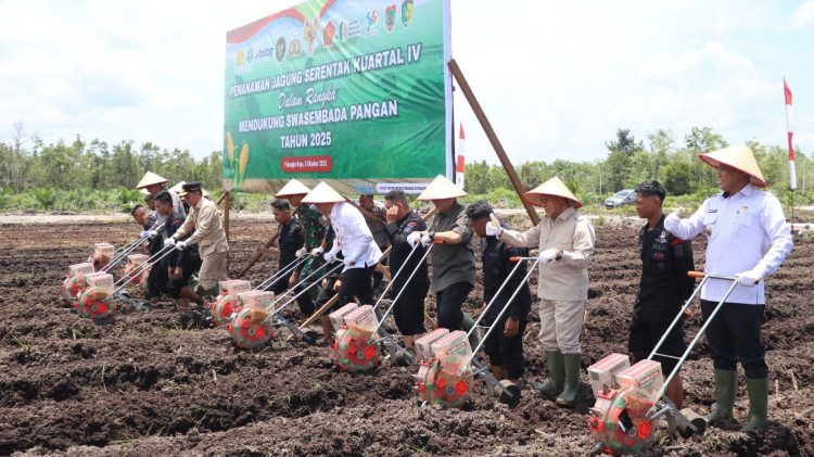 Polresta Palangka Raya melaksanakan kegiatan penanaman jagung serentak Kuartal IV di wilayah Kelompok Tani Elea Farm, Jalan Tumbang Telaken Km. 61, Kecamatan Rakumpit, Kota Palangka Raya.