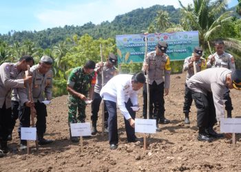 Pemerintah Kota Sabang mendukung penuh program Swasembada Pangan 2025 melalui kegiatan Penanaman Jagung Serentak Kuartal IV yang digelar di Gampong Jaboi, Kecamatan Sukajaya.