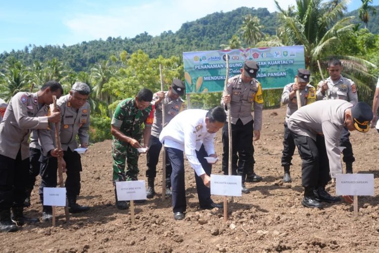Pemerintah Kota Sabang mendukung penuh program Swasembada Pangan 2025 melalui kegiatan Penanaman Jagung Serentak Kuartal IV yang digelar di Gampong Jaboi, Kecamatan Sukajaya.