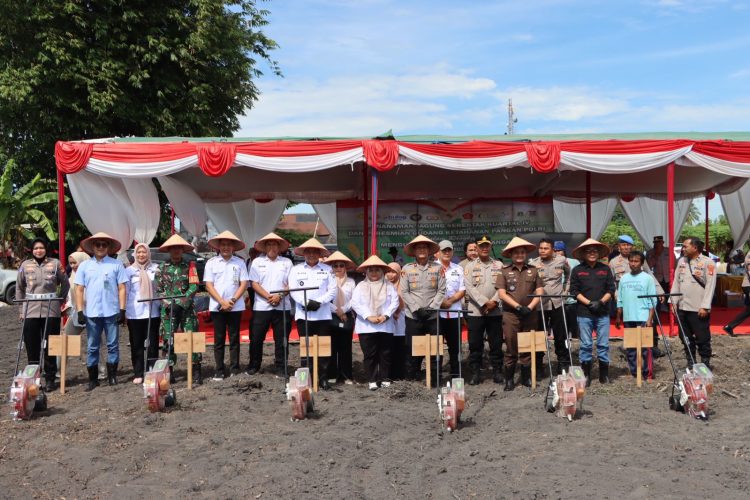 Polres Ogan Ilir melaksanakan kegiatan penanaman jagung serentak kuartal IV di lahan perhutanan sosial dalam rangka mendukung program swasembada pangan tahun 2025, yang digelar secara virtual melalui video conference serentak di seluruh Indonesia.