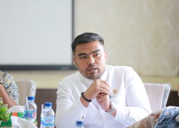 Politisi muda Partai Demokrasi Indonesia Perjuangan (PDIP) Nagan Raya, Rizki Julianda