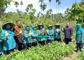 Kegiatan tersebut turut dihadiri Wali Kota Sabang Zulkifli H. Adam bersama Wakil Wali Kota Sabang Suradji Yunus, serta Ketua TP-PKK Kota Sabang Nuri Farisal, yang kemudian mendampingi tim penilai meninjau rumah binaan dan rumah sehat sebagai bagian dari program pemberdayaan masyarakat.