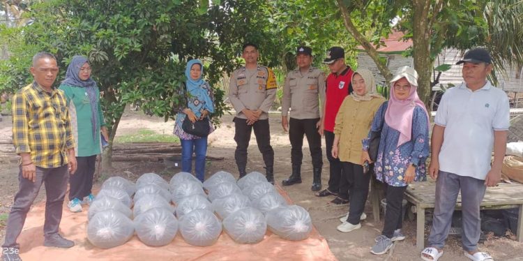 Polsek Pemulutan bersama unsur pemerintahan desa melaksanakan kegiatan penebaran benih ikan patin di Desa Arisan Jaya, Kecamatan Pemulutan Barat, pada Jumat (7/11/2025) sekitar pukul 10.00 WIB.