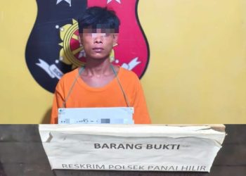 Pelaku yang diamankan diketahui berinisial E alias Anto(28), warga Desa Sei Sanggul, Kecamatan Panai Hilir, Kabupaten Labuhanbatu. Ia ditangkap di Lingkungan VII Sukamaju, Kelurahan Sei Berombang, Kecamatan Panai Hilir pada Minggu, 9 November 2025, pukul 17.00 WIB.