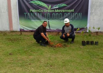 Manajemen PTPN IV Regional I PKS Sei Baruhur melakukan penanaman pohon dalam rangka Program PalmCo Green Movement. Kegiatan yang melibatkan manajer, karyawan, serta perwakilan pemerintah desa ini menjadi simbol komitmen perusahaan dalam mendukung pelestarian lingkungan dan penguatan ekosistem hijau di sekitar area pabrik.