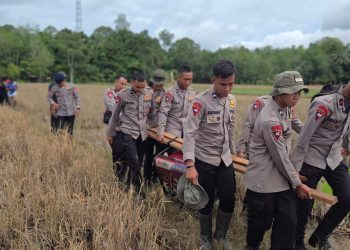 Pada Selasa (9/12/2025) pagi, personel Brimob turun langsung melakukan perbaikan jembatan di Desa Netampin, Kecamatan Dusun Tengah, Kabupaten Barito Timur.