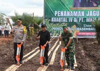 kegiatan Panen Raya Jagung Kuartal IV yang dihadiri langsung Kapolda Kalteng, Irjen Pol Iwan Kurniawan bersama Pangdam XXII/Tambun Bungai Mayjen TNI Zainul Arifin di Areal Perkebunan PT Menteng Kencana Mas (MKM), Kabupaten Pulang Pisau, Senin (22/12/2025).