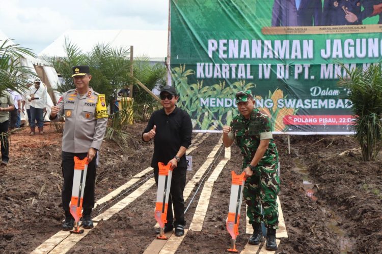 kegiatan Panen Raya Jagung Kuartal IV yang dihadiri langsung Kapolda Kalteng, Irjen Pol Iwan Kurniawan bersama Pangdam XXII/Tambun Bungai Mayjen TNI Zainul Arifin di Areal Perkebunan PT Menteng Kencana Mas (MKM), Kabupaten Pulang Pisau, Senin (22/12/2025).