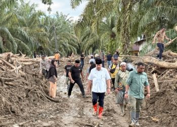 Kunjungan pada Sabtu (29/11/2025) tersebut menyasar dua lokasi, yakni Kuta Trieng dan Alue Wakie di Kecamatan Darul Makmur.