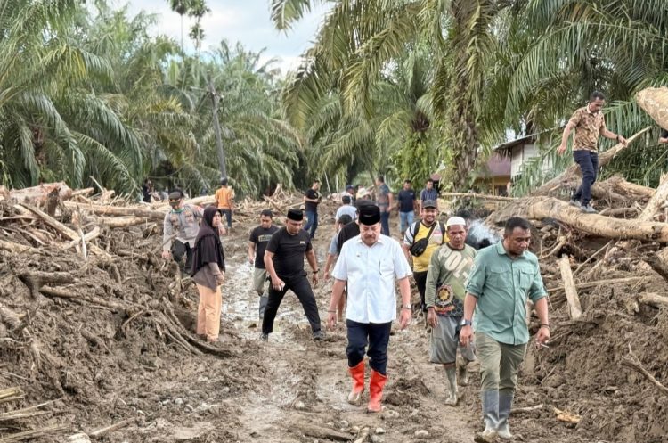 Kunjungan pada Sabtu (29/11/2025) tersebut menyasar dua lokasi, yakni Kuta Trieng dan Alue Wakie di Kecamatan Darul Makmur.