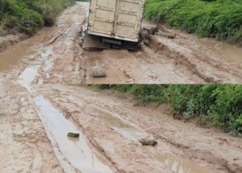 Sebuah mobil pengangkut hasil kebun tampak terpuruk di jalan berlumpur yang rusak parah di Kepenghuluan Sei Keladi, Kecamatan Tanah Putih, Kabupaten Rokan Hilir, Riau. Jalan berstatus milik PT Pertamina Hulu Rokan tersebut menjadi akses utama masyarakat.