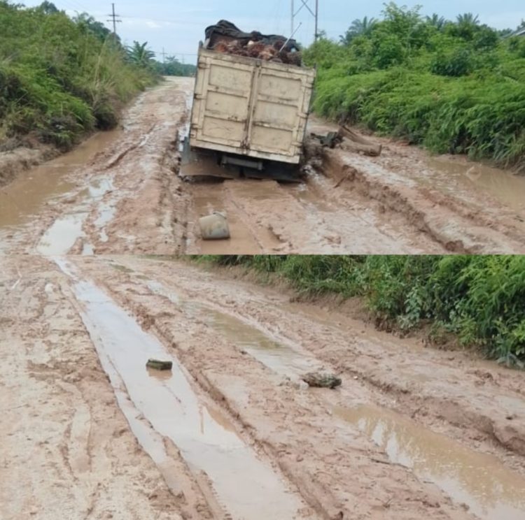 Sebuah mobil pengangkut hasil kebun tampak terpuruk di jalan berlumpur yang rusak parah di Kepenghuluan Sei Keladi, Kecamatan Tanah Putih, Kabupaten Rokan Hilir, Riau. Jalan berstatus milik PT Pertamina Hulu Rokan tersebut menjadi akses utama masyarakat.