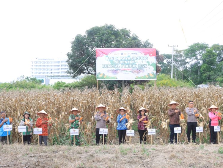 Polres Samosir mengikuti kegiatan Panen Raya Jagung Serentak Kuartal I Tahun 2026 yang dilaksanakan secara nasional melalui Zoom Meeting, pada Kamis (8/1/2026).