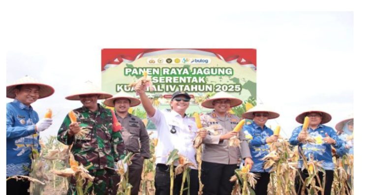 Polres Ogan Komering Ilir (OKI) turut berpartisipasi dalam kegiatan Panen Raya Jagung Serentak Kuartal IV Tahun 2025 yang digelar pada Rabu pukul 10.00 WIB di lahan jagung milik Aiptu Abastari, Kelurahan Kutaraya, Kecamatan Kayuagung.