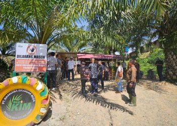 Tim terpadu monitoring, evaluasi perizinan dan non perizinan dari Pemerintah kabupaten Nagan Raya melakukan pemeriksaan dokumen perizinan, HGU, plasma PT Kharisma Iskandar Muda (KIM) di kecamatan Tadu Raya, kecamatan Beutong
Kabupaten Nagan Raya.