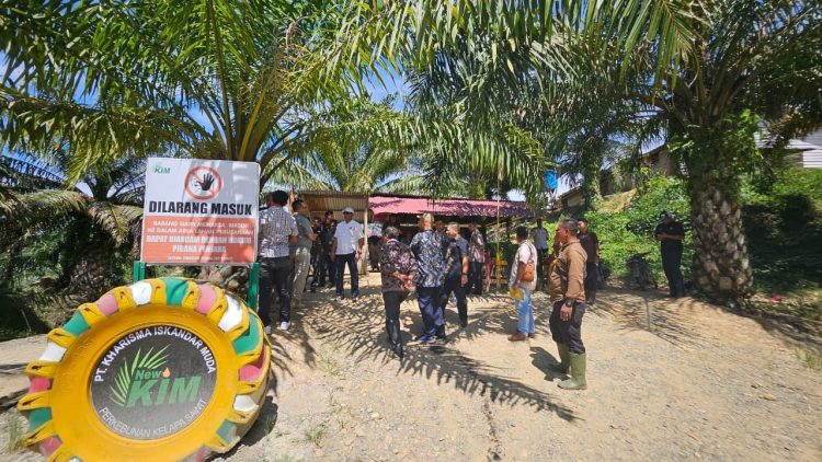 Tim terpadu monitoring, evaluasi perizinan dan non perizinan dari Pemerintah kabupaten Nagan Raya melakukan pemeriksaan dokumen perizinan, HGU, plasma PT Kharisma Iskandar Muda (KIM) di kecamatan Tadu Raya, kecamatan Beutong
Kabupaten Nagan Raya.