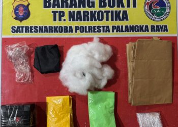 Satuan Reserse Narkoba (Satresnarkoba) Polresta Palangka Raya berhasil menggagalkan dugaan peredaran narkotika jenis sabu dan ekstasi dalam jumlah besar di wilayah Kecamatan Jekan Raya, Kota Palangka Raya, Jumat (23/1/2026) dini hari.