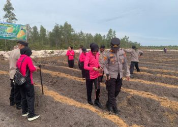 Polsek Rakumpit Polresta Palangka Raya menggelar kegiatan penanaman jagung Kuartal I Tahun 2026 di Kebun Kelompok Tani Elea Farm, Kelurahan Pager, Kecamatan Rakumpit.