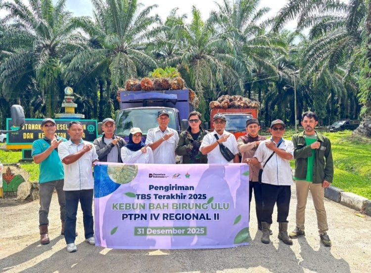 Pemberangkatan truk pengangkut TBS tersebut dilepas langsung oleh Manajer Kebun Bah Birung Ulu, Yuna Shaund H.S. Damanik, secara simbolis di area Kebun Bah Birung Ulu. Kegiatan ini menandai berakhirnya seluruh aktivitas pengiriman TBS sepanjang tahun 2025 dari kebun tersebut.