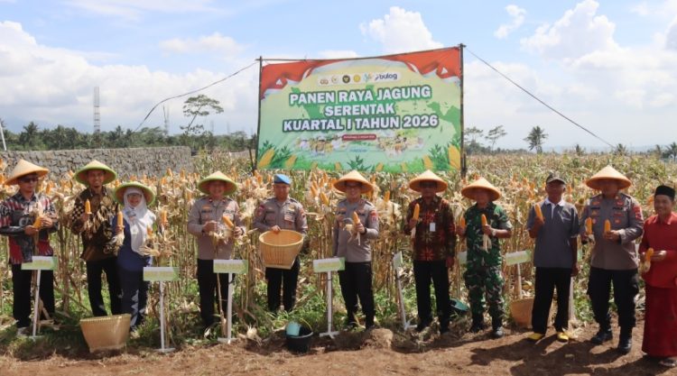 Polres Purbalingga bersama stakeholder terkait mengikuti kegiatan Panen Raya Jagung Serentak Kuartal I Tahun 2026 di Desa Karangcegak, Kecamatan Kutasari, Kabupaten Purbalingga, Kamis (8/1/2026).
