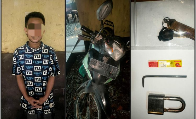 pelaku berinisial A.P. (27), warga Desa Tanjung Agung, Kecamatan Indralaya
