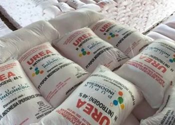 Pupuk Bersubsidi dari Pemerintah