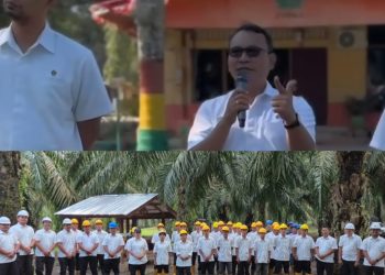 Managemen PTPN 4 Regional 2 Kebun Sei Kopas
