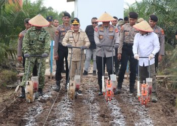 Dalam acara Tanam Raya Serentak Kuartal I Tahun 2026, yang dipusatkan di area perkebunan sawit PT MKM, Kabupaten Pulang Pisau, Polda Kalteng menanam jagung di lahan sela sawit seluas 128 hektare. Sabtu (7/3/2026).