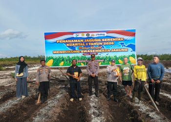 Kegiatan penanaman tersebut dilakukan di lahan seluas kurang lebih satu hektare dan merupakan bagian dari penanaman jagung serentak Kuartal I Tahun 2026 yang dilaksanakan secara nasional.