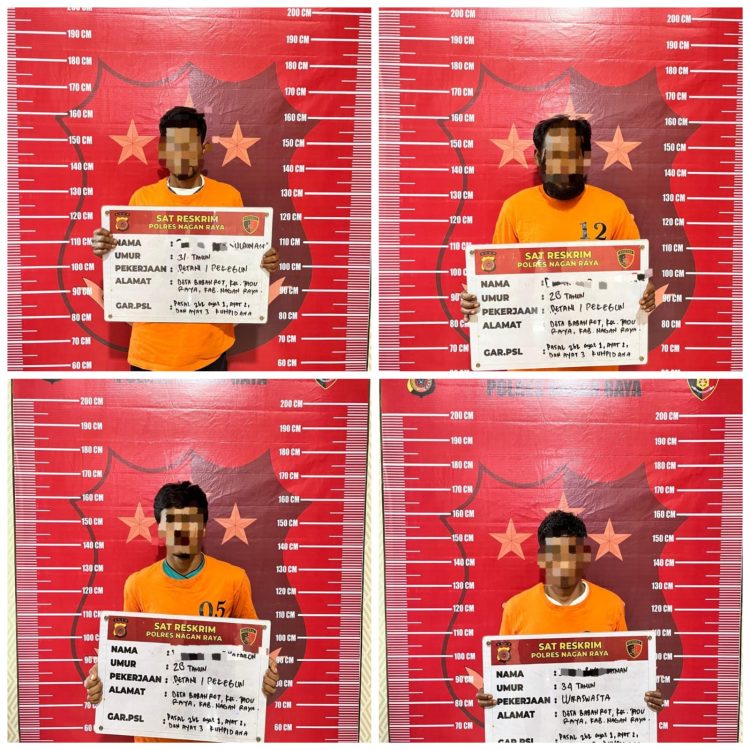 Adapun keempat pelaku yang telah diamankan masing-masing berinisial BT (27), BS (34), BD (30), dan JL (35) yang seluruhnya merupakan warga Kecamatan Tadu Raya, Kabupaten Nagan Raya.