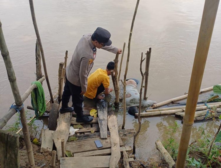 Warga Desa Sejangko I, Kecamatan Rantau Panjang, Kabupaten Ogan Ilir digegerkan dengan penemuan sesosok mayat laki-laki yang mengambang di aliran Sungai Ogan, Senin (23/3/2026) sekitar pukul 10.30 WIB.