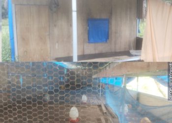Dari hasil pantauan di lapangan, kondisi kandang ayam yang disebut sebagai lokasi pengembangan ternak terlihat tidak terurus dan kosong tanpa adanya ternak ayam di dalamnya dan kolam yang disebut sebagai tempat budidaya ikan lele juga tidak ditemukan aktivitas budidaya sama sekali.