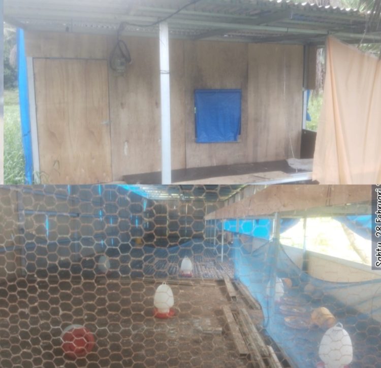 Dari hasil pantauan di lapangan, kondisi kandang ayam yang disebut sebagai lokasi pengembangan ternak terlihat tidak terurus dan kosong tanpa adanya ternak ayam di dalamnya dan kolam yang disebut sebagai tempat budidaya ikan lele juga tidak ditemukan aktivitas budidaya sama sekali.