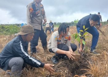 Penanaman pohon tersebut melibatkan berbagai unsur penting, di antaranya Kapolres Samosir AKBP Rina Sry Nirwana Tarigan, S.I.K., M.H, Anggota Komisi XIII DPR RI Drs. Rapidin Simbolon, M.M, Kepala Dinas Lingkungan Hidup Kabupaten Samosir Edison Pasaribu, S.T., M.M, serta perwakilan Kejaksaan Negeri Samosir Joannes Krisdianto Marpaung, S.Kom.