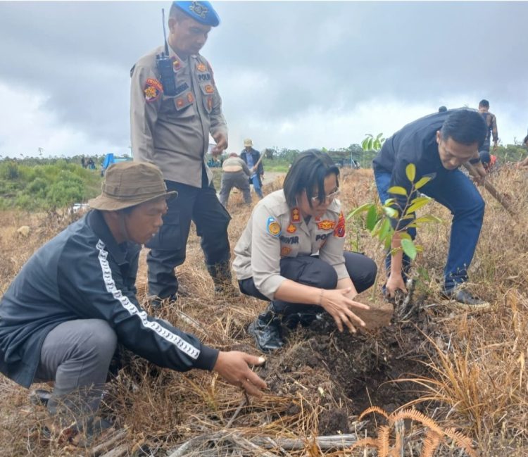 Penanaman pohon tersebut melibatkan berbagai unsur penting, di antaranya Kapolres Samosir AKBP Rina Sry Nirwana Tarigan, S.I.K., M.H, Anggota Komisi XIII DPR RI Drs. Rapidin Simbolon, M.M, Kepala Dinas Lingkungan Hidup Kabupaten Samosir Edison Pasaribu, S.T., M.M, serta perwakilan Kejaksaan Negeri Samosir Joannes Krisdianto Marpaung, S.Kom.
