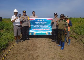 Kapolsek Hanau IPTU FIRMAN AMIR, S.H., M.H. bersama personel dan karyawan PT. Tapian Nadengan melaksanakan kegiatan penanaman jagung tumpang sari di lahan PT. Tapian Nadengan Kebun Hanau, Desa Derangga, Kecamatan Hanau, Kabupaten Seruyan, pada Kamis (16/4) mulai pukul 09.00 WIB hingga selesai.