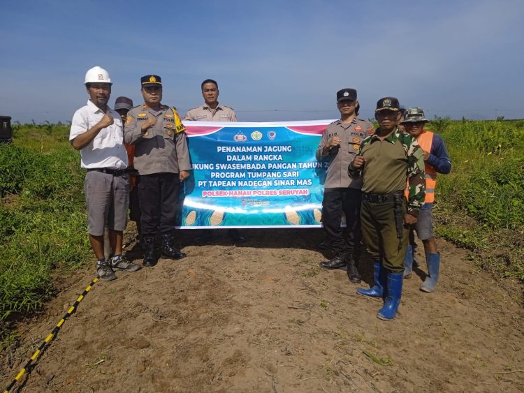 Kapolsek Hanau IPTU FIRMAN AMIR, S.H., M.H. bersama personel dan karyawan PT. Tapian Nadengan melaksanakan kegiatan penanaman jagung tumpang sari di lahan PT. Tapian Nadengan Kebun Hanau, Desa Derangga, Kecamatan Hanau, Kabupaten Seruyan, pada Kamis (16/4) mulai pukul 09.00 WIB hingga selesai.