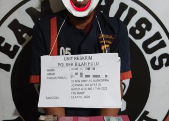 personel berhasil menangkap IS als Puput dalam kasus penyalahgunaan narkotika jenis sabu di sebuah bangunan SD 6 yang berada di Desa Perbaungan, Kecamatan Bilah Hulu, Kabupaten Labuhanbatu. 