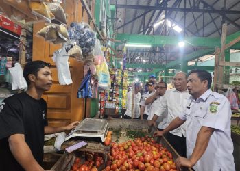 Sidak tersebut dipimpin oleh Sekretaris Daerah Kota Sabang Andri Nourman dan melibatkan unsur Forkopimda, di antaranya Komandan Kodim 0112 Sabang, Kepolisian Resort Sabang, Kepala BPS, serta sejumlah Organisasi Perangkat Daerah (OPD) Kota Sabang.