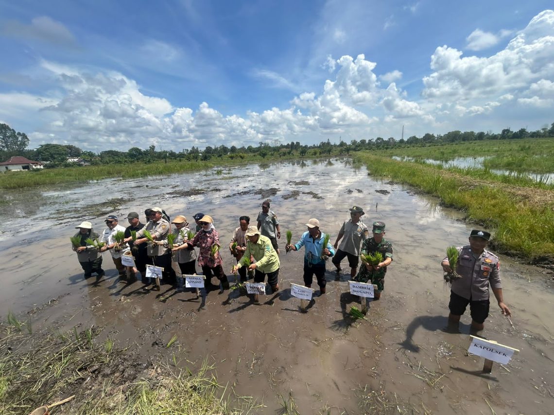 Personil bersama anggota Bhabinkamtibmas Polsek Pemulutan turut mengikuti kegiatan Gerakan Tanam Cetak Sawah Rakyat (CSR) yang dilaksanakan di Desa Simpang Pelabuhan Dalam, Kecamatan Pemulutan, Kabupaten Ogan Ilir, Kamis (07/05/2026) sekitar pukul 11.00 WIB.